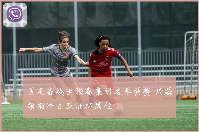 国足备战世预赛集训名单调整 武磊领衔冲击亚洲杯席位