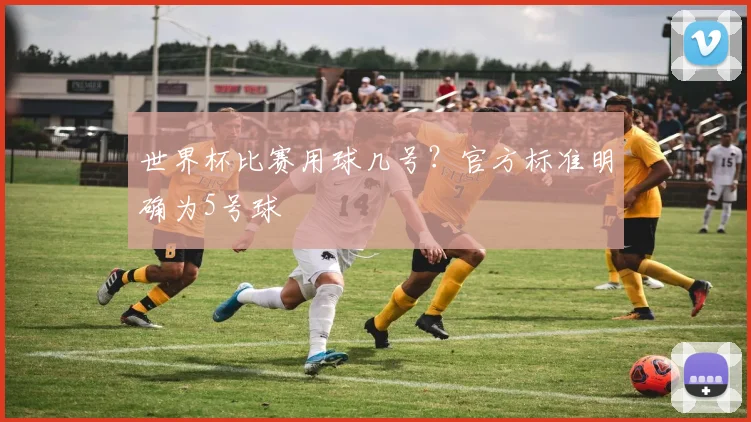 世界杯比赛用球几号?官方标准明确为5号球