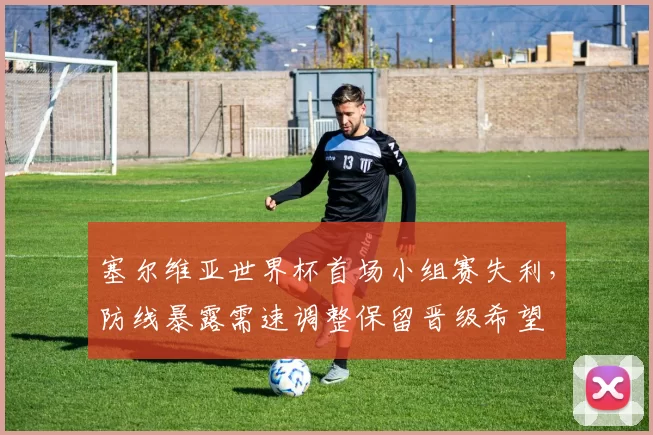 塞尔维亚世界杯首场小组赛失利，防线暴露需速调整保留晋级希望