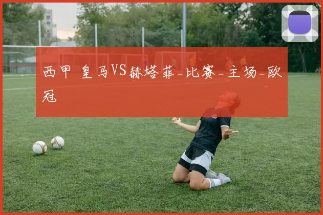 西甲 皇马VS赫塔菲_比赛_主场_欧冠