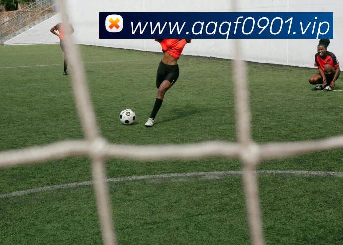 开云·kaiyun体育(中国大陆)官方网站 登录入口服务体系